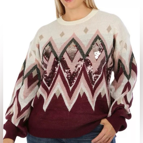 NWT Blue Sol Plus Size Sequined Sweater - Picture 1 of 4